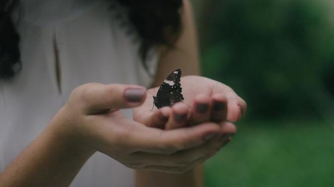 In general, do you consider yourself to be more of a gentle or rough person?