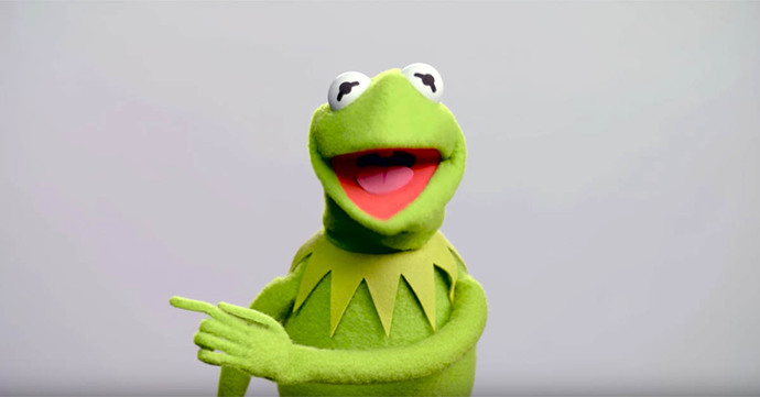 Do you like frogs 🐸 ?