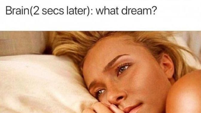 Do you ever "Fake Dream" in order to help you get to sleep?