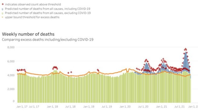 Do you think this graph of deaths in Florida shows the last year has been "normal"?
