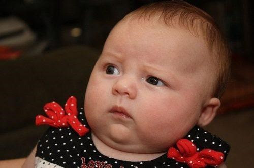 Do you think Donald Trump should pick JFK Jr. as his running mate in 2024?