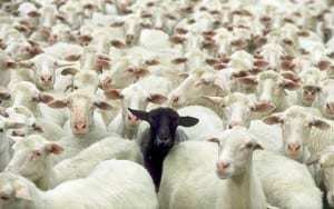 Why do people care so much whether others vaccinated or not?