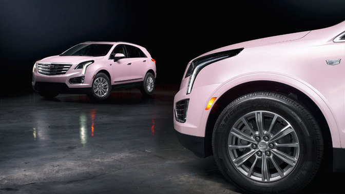 Which of these vehicles from my neighborhood is your favorite?
