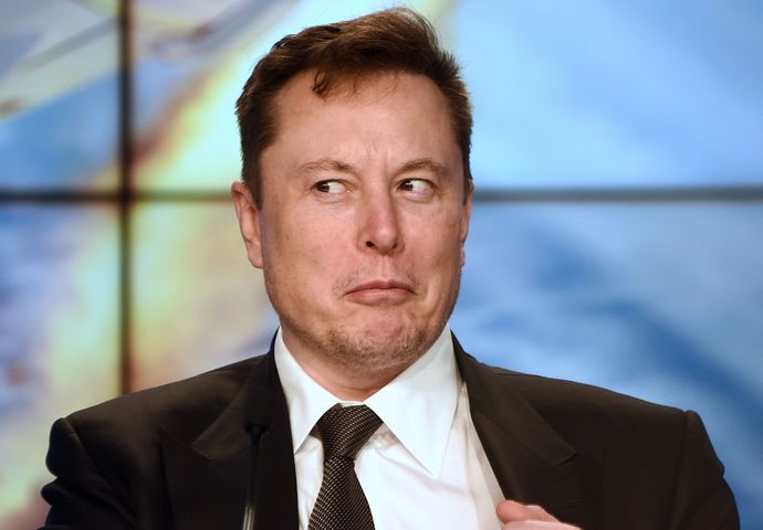 What is your overall opinion of Elon Musk?