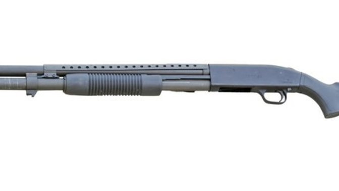 Are shotguns the least controversial gun type available in the civilian market?