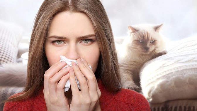 Would you stop dating someone because you were allergic to their cat?