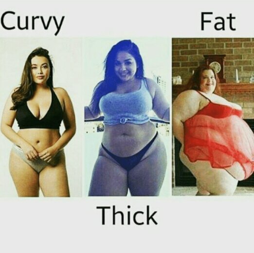 Guys, In terms of bigger girls, which one do you like. Curvy, thick or fat?