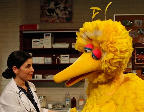 Is Ted Cruz right? Is Big Bird spreading dangerous vaccine propaganda?