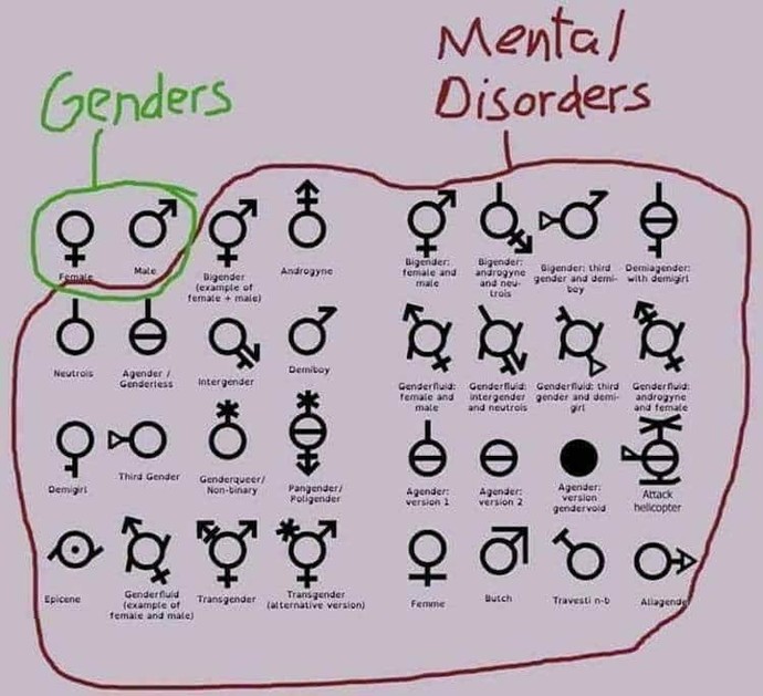 Are there only two genders?