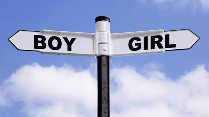 Are there only two genders?