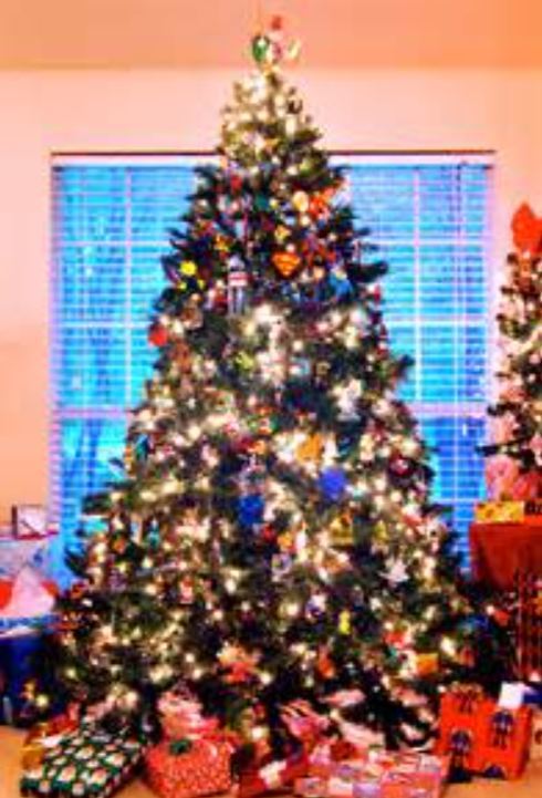 Whats your favorite type of Christmas Tree?