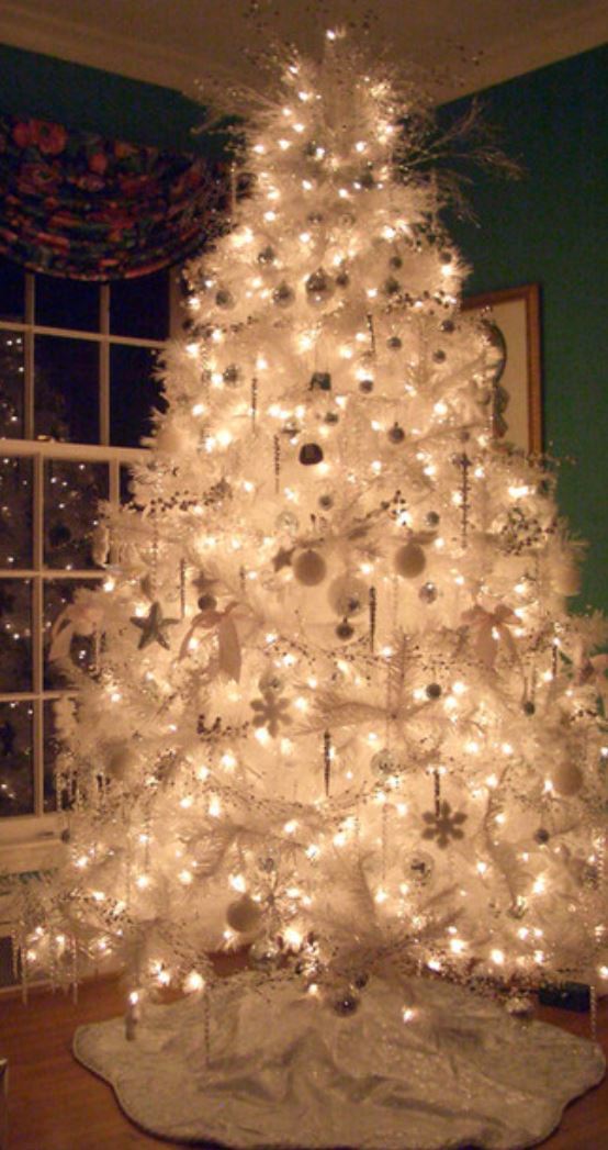 Whats your favorite type of Christmas Tree?