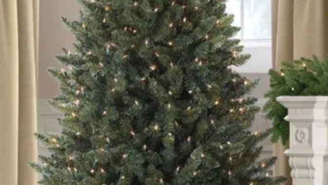 What's your favorite type of Christmas Tree?