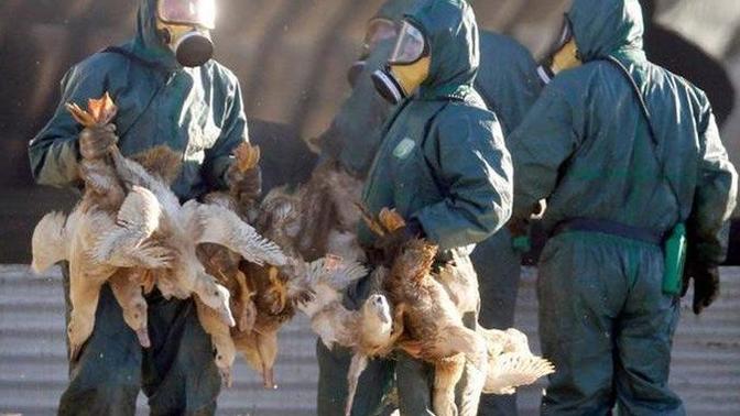 The new epidemic is spreading rapidly in Europe! Nine countries on alert. Thoughts?