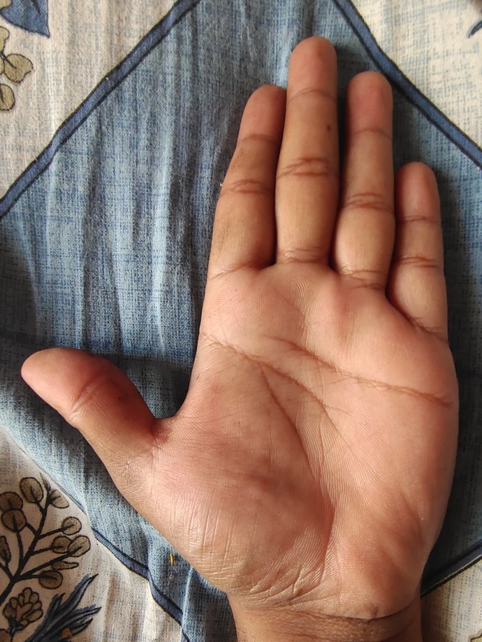 The Difference in Hands and its lines palmistry?