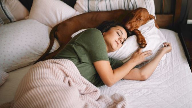 Dog lovers would you choose your dog over your mate?