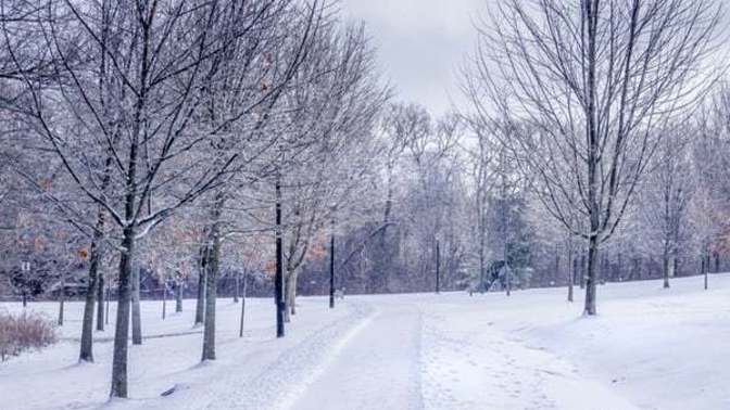 Northeast Florida is having unusually cool weather; is it global warming or Trump's fault?