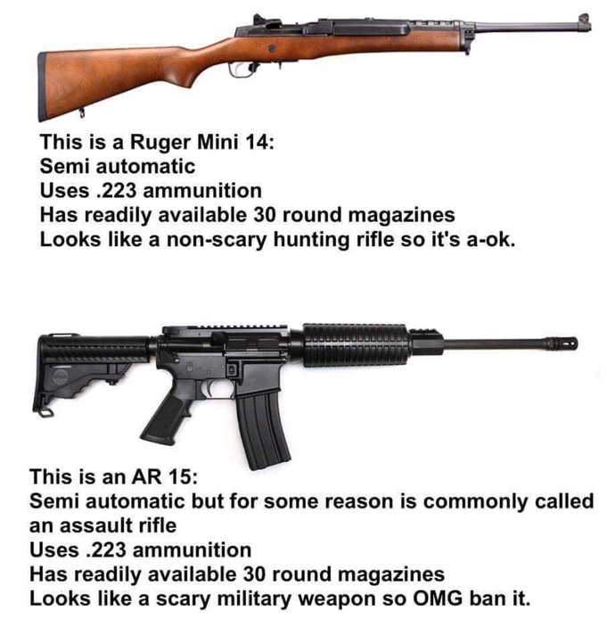 Is the second amendment apart of the checks and balances of government?