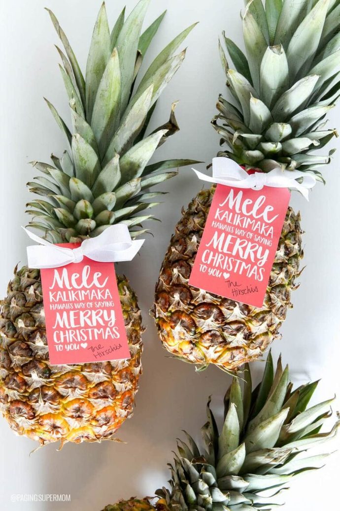 Should I give my neighbors a Christmas pineapple for Christmas?