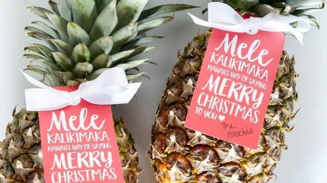 Should I give my neighbors a Christmas pineapple for Christmas?