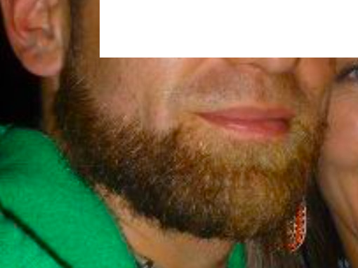 The glorious chinstrap