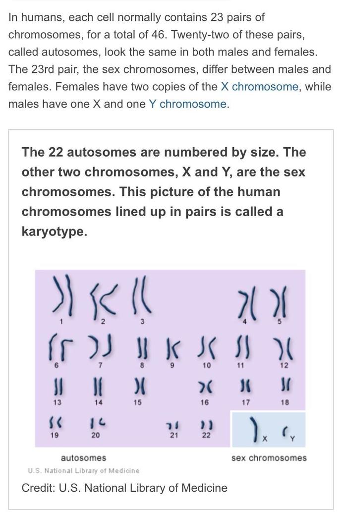 Do you believe gender and sex is binary?
