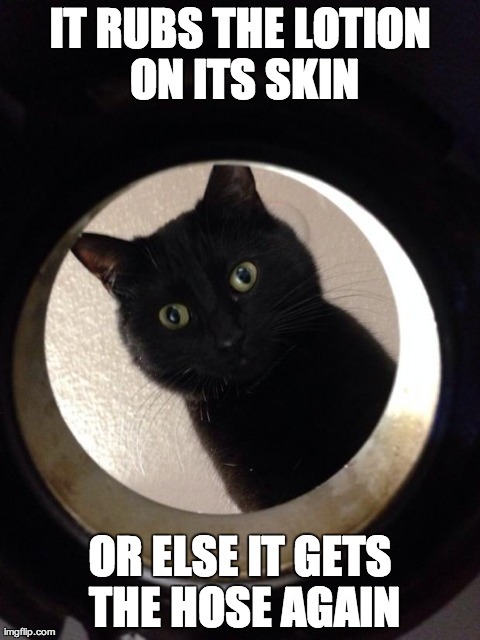 “It rubs the _________ on its skin or else it gets the ________ again.” Fill in the blanks?