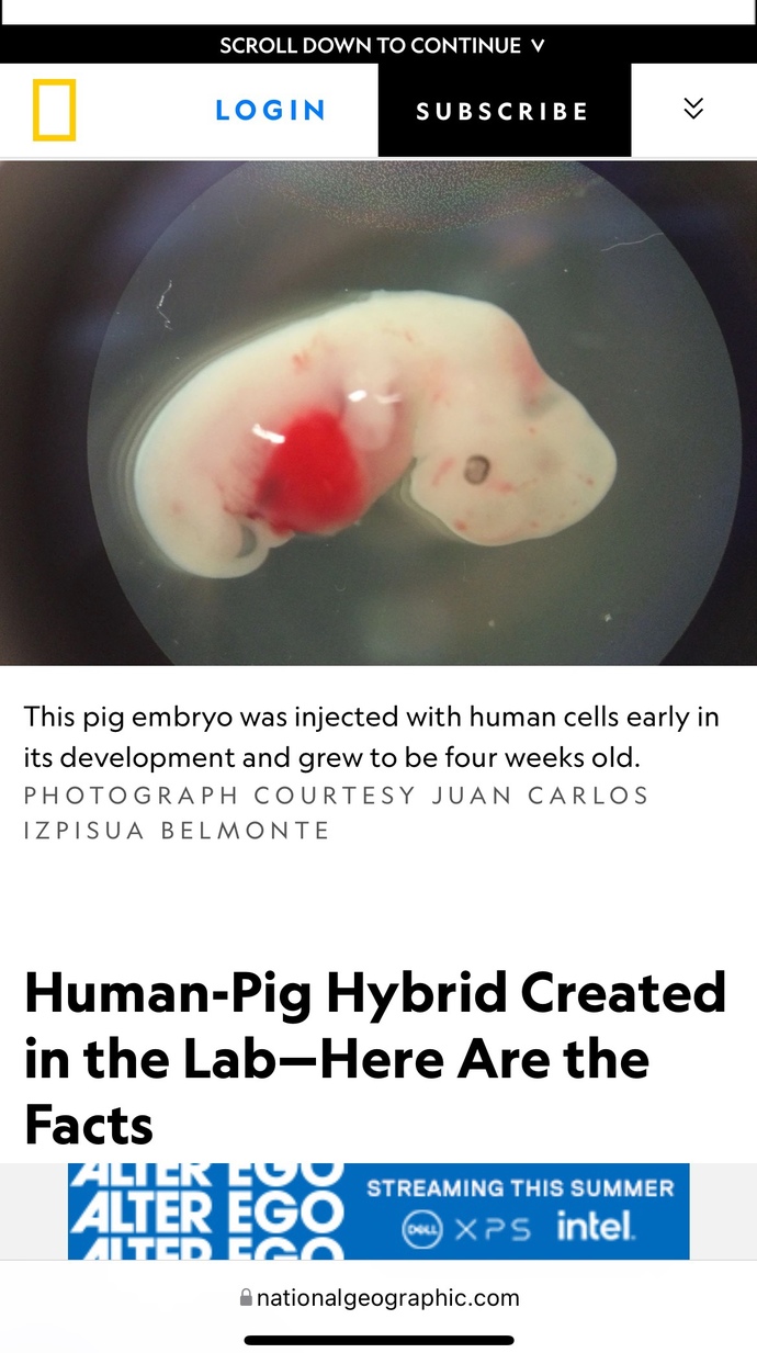 Are You In Support Of Scientists Trying To Create Human-Animal Hybrids?