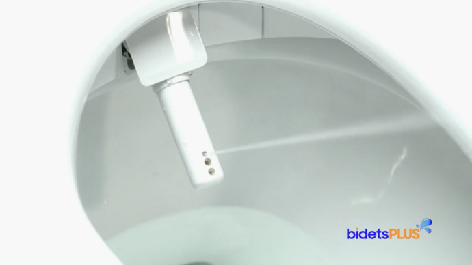 Have you used a bidet? Do you have one in your home? Do you like it?