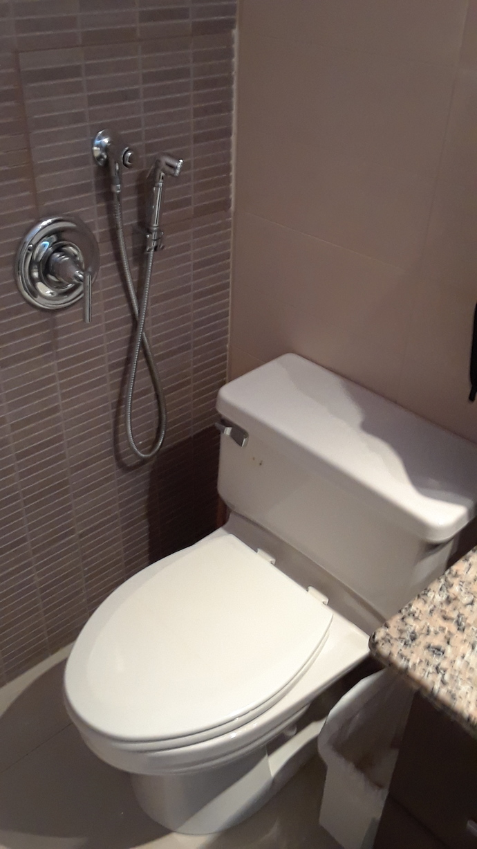 Have you used a bidet? Do you have one in your home? Do you like it?