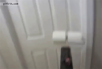 Toilet paper roll over or under?