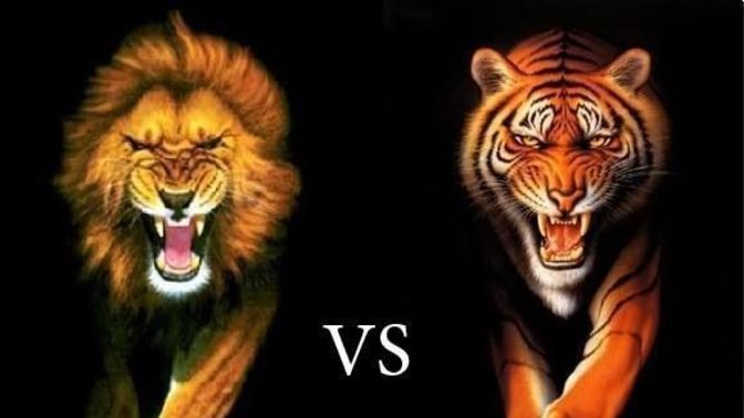 In the animal world, why do lions get more respect than tigers?