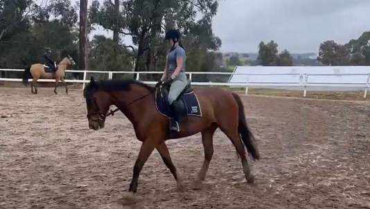 Do you think horse riding is a sport?