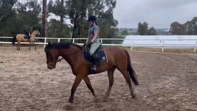 Do you think horse riding is a sport?