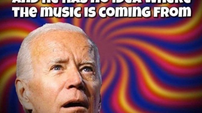 What are your thoughts on Biden's current approval rating?
