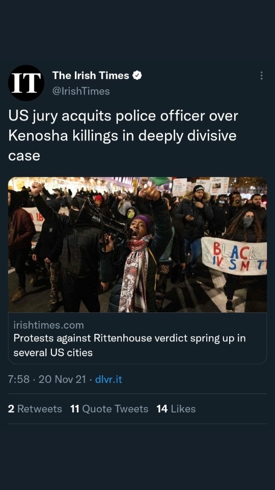 Do you think the people against the Rittenhouse ruling watched the actual court footage?