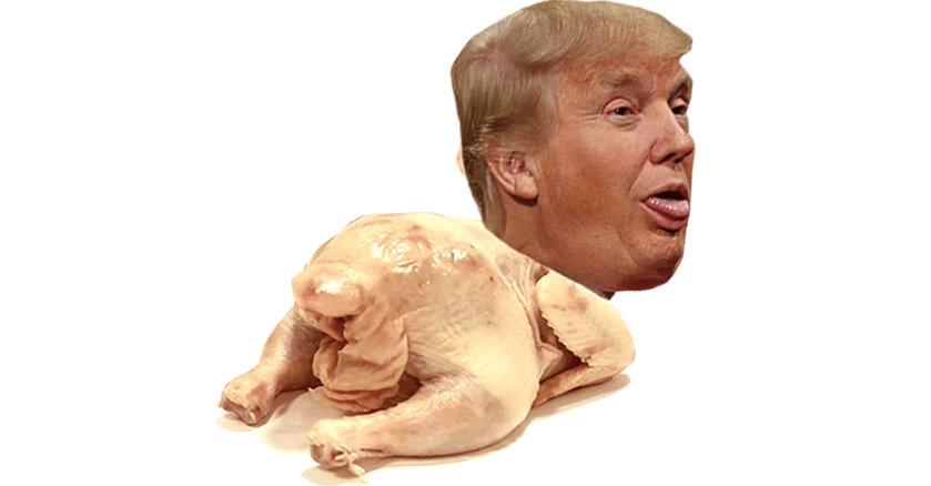 Do you want Trump to run for president in 2024?