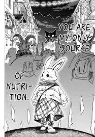Cute bunny 🐰