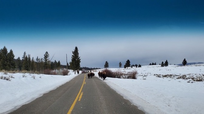 Who else loves winter and does fun winter activities? What kind of things do you do, I'm idea gathering?