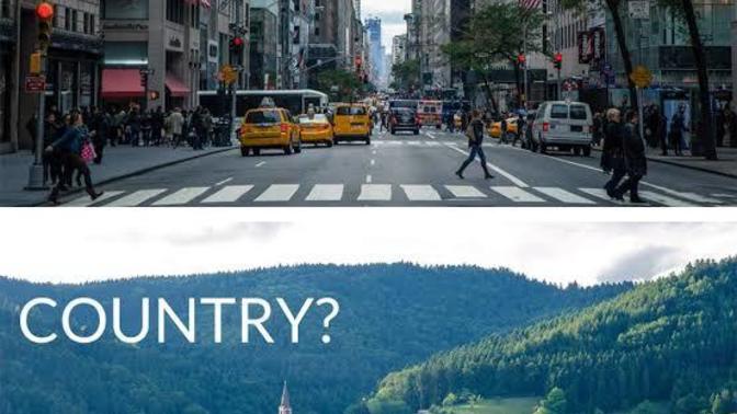 Would you rather live in the city or in the countryside?