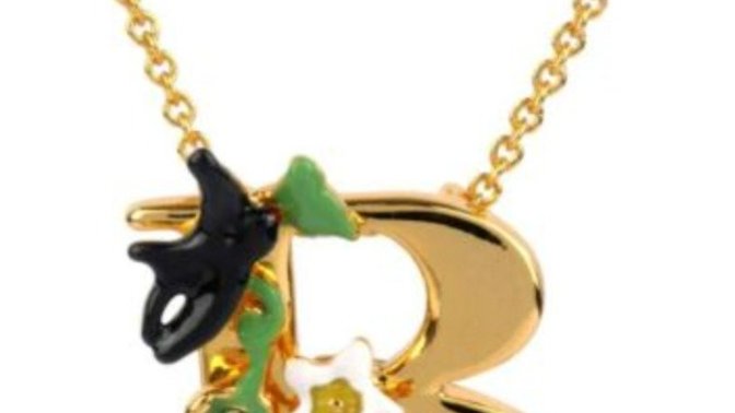 Which necklace is prettier?