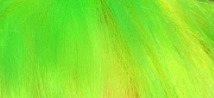 which would be a better hair color?