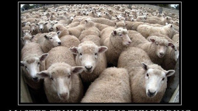 Is the Leader's son finally admitting that they are cult sheep?