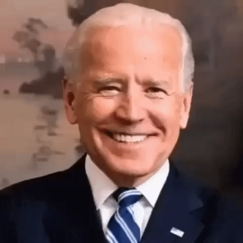 Is this all of Joe biden's failures in 11 months?