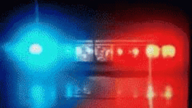Have you ever called the cops before? When was the last time and why?