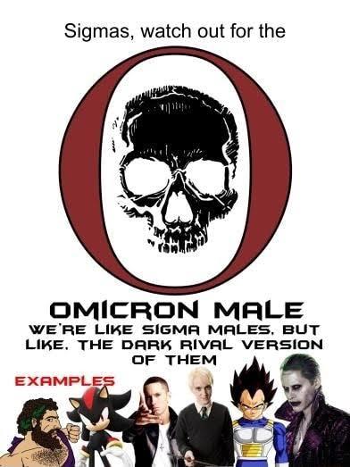 Do you really actually believe in the Alpha Male Beta Male?