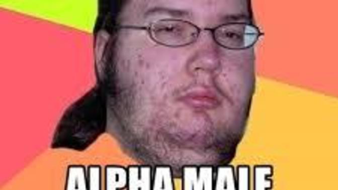 Do you really actually believe in the Alpha Male Beta Male?