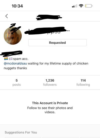 DOES THIS MEAN THIS CHICK IS TRANS IF SHE HAS THE TRANS FLAG IN HER BIO?