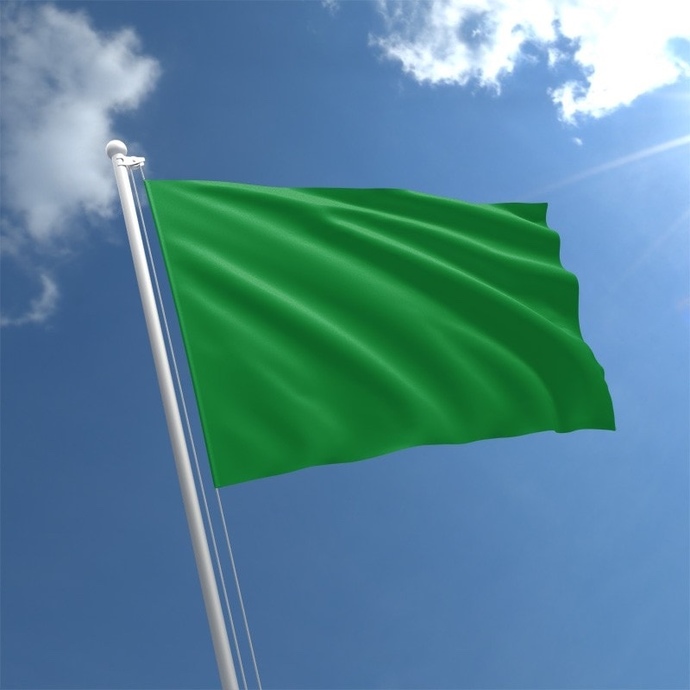 What are some green flags you look for before dating or in a relationship?