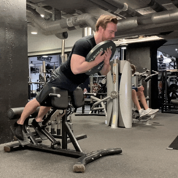 What are some of your favourite back exercises?